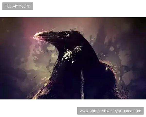 乌鸦攻防两端均衡，赢下分区关键战，乌鸦打法